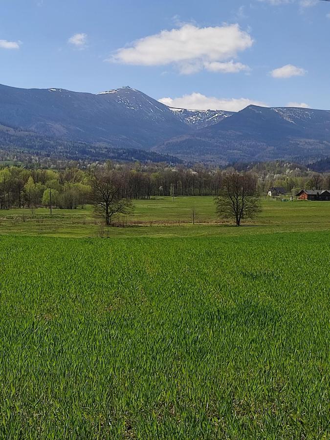 Chata Na Karpackiej Kostrzyca Exterior foto
