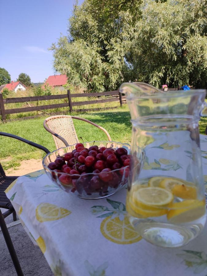Chata Na Karpackiej Kostrzyca Exterior foto
